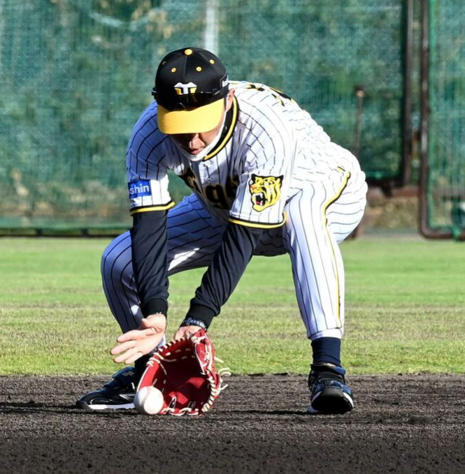 【朗報】どんでん、指導した大山について「そら変わってる。30本は打てるやろ」