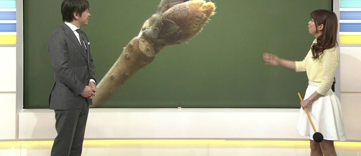 画像 10人中9人は笑う画像ｗｗｗｗｗｗｗｗｗｗｗｗｗｗｗｗｗｗｗｗｗｗｗｗｗｗｗｗｗｗｗｗｗw なんjなんでもあり部