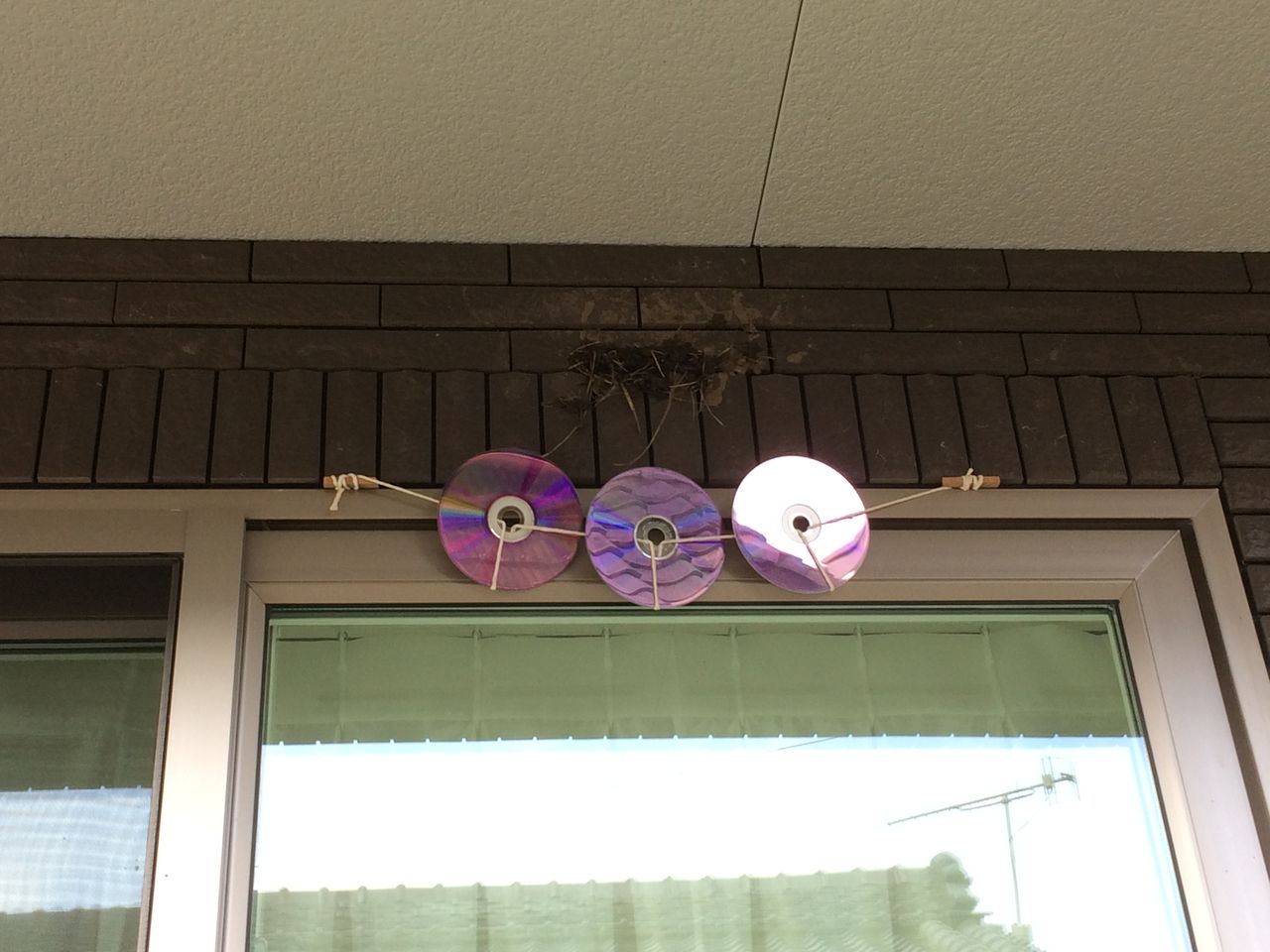 ツバメの巣対策にcd盤は効果ある よっちのdiy ハンドメイド研究室 I Smart ツバメの巣対策にcd盤は効果ある よっちのdiy ハンドメイド研究室 I Smart