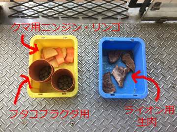 BlogPaint