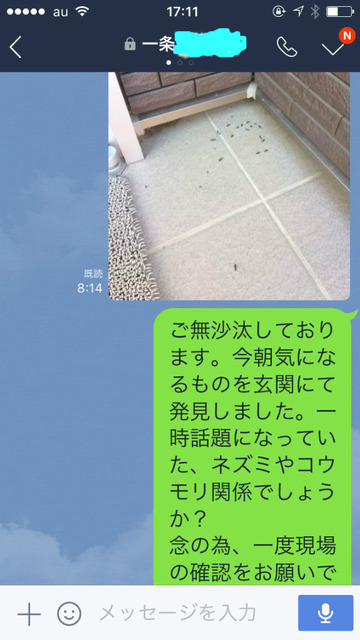 BlogPaint