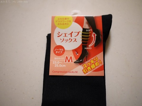 P1060221
