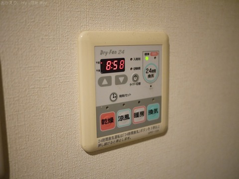 P1060245
