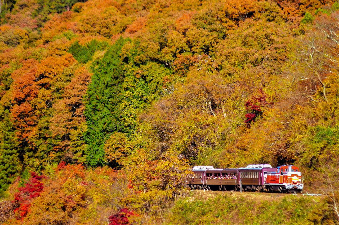 トロッコわらたせ渓谷号 19 11 19 舞 Tetu