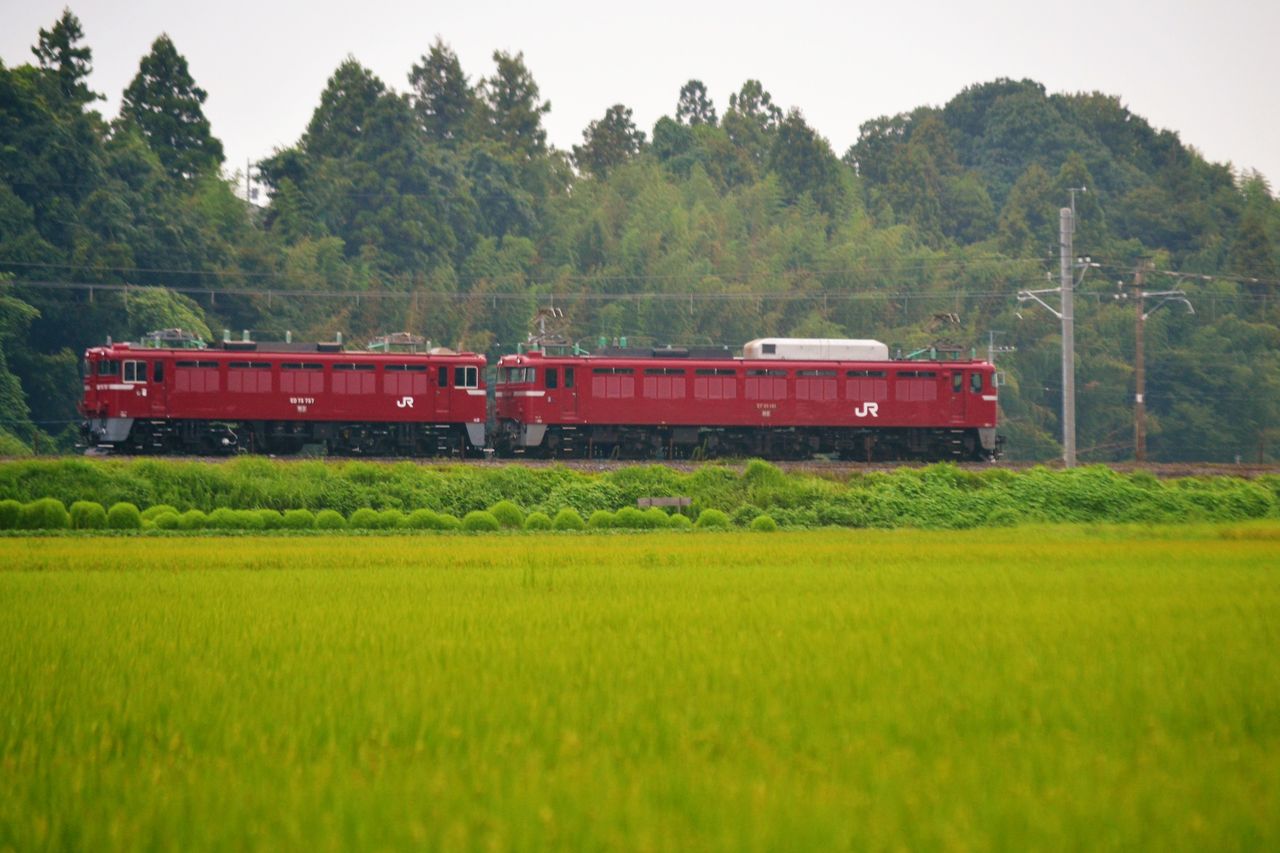Ed75 757 At出場配給 19 8 舞 Tetu Ed75 757 At出場配給 19 8 舞 Tetu
