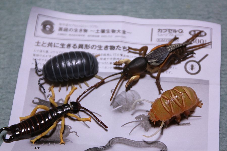 イメージ 4