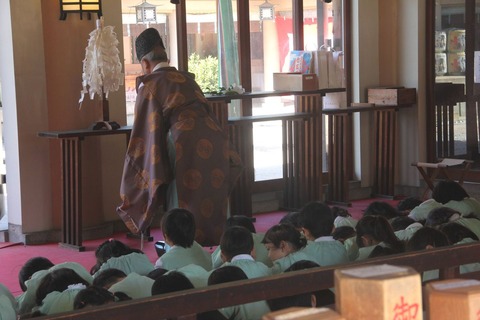 生國魂神社の七五三模様