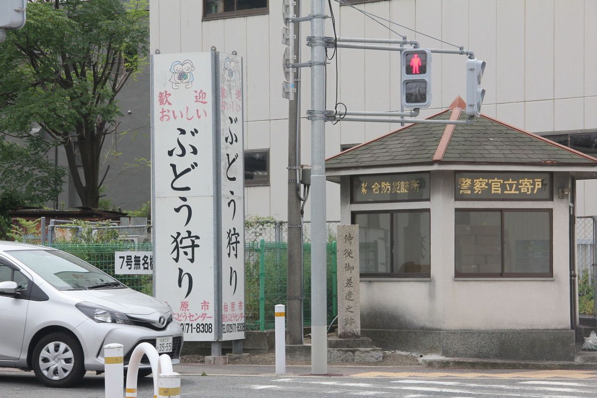 織田信秀 (侍従)