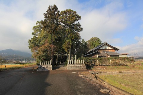 長田神社の社叢