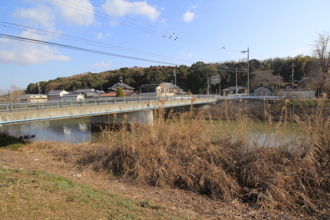 登弥橋と社叢
