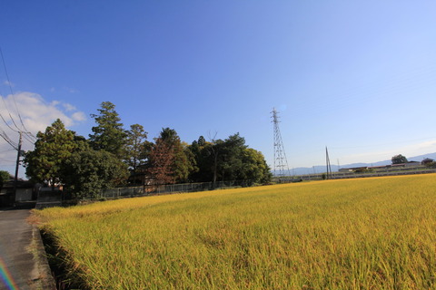 但馬杵築神社の社叢