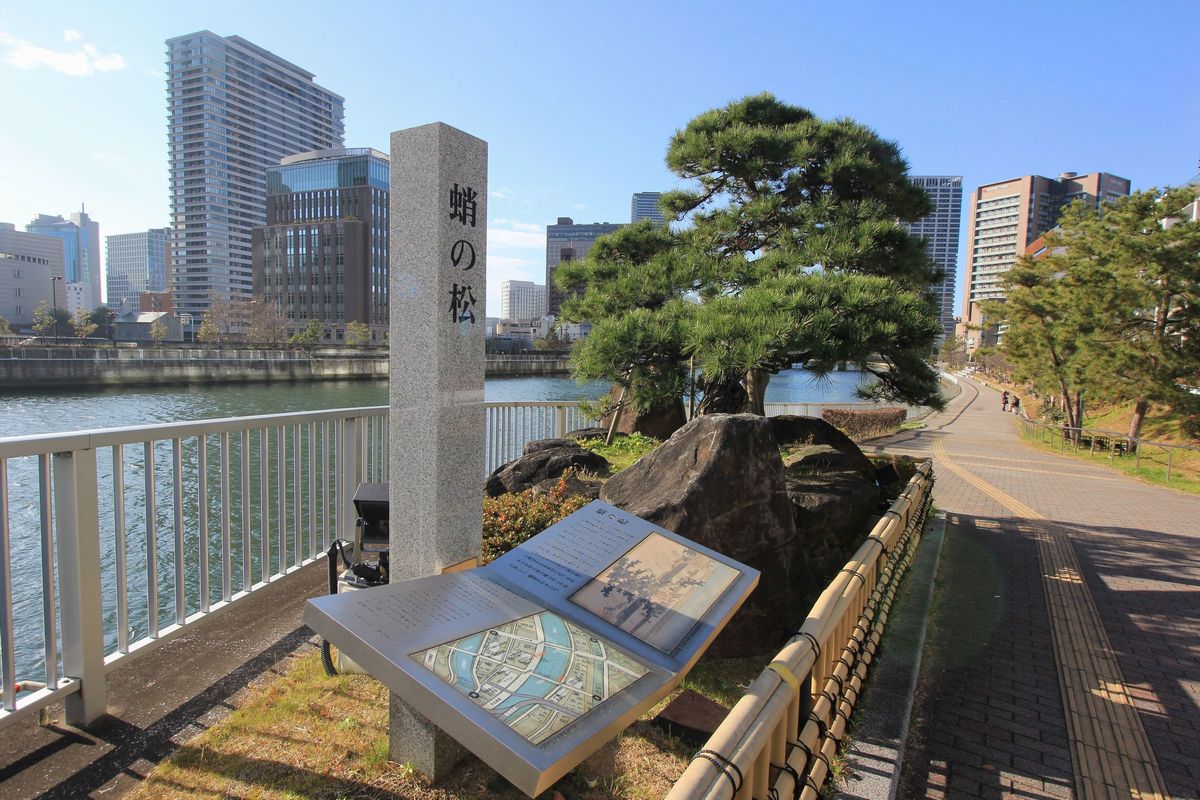 大川 天神橋の参道 田蓑橋 大阪市 福島区 福島 エナガ先生の講義メモ 大川 天神橋の参道 田蓑橋 大阪市 福島区 福島 エナガ先生の講義メモ
