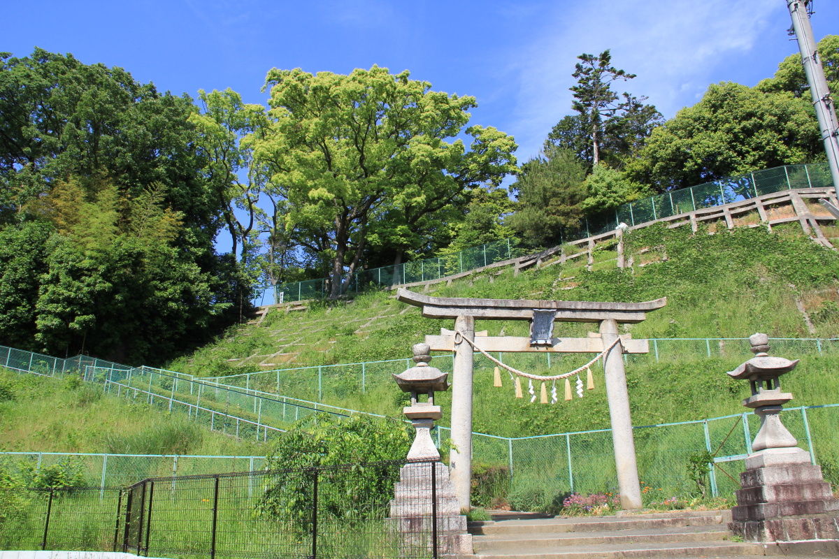 御殿山神社 大阪府 枚方市 渚本町 エナガ先生の講義メモ
