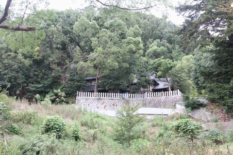 北條神社全景(八幡山)