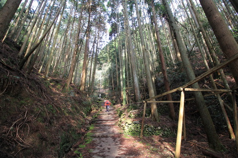 愛宕山登山道