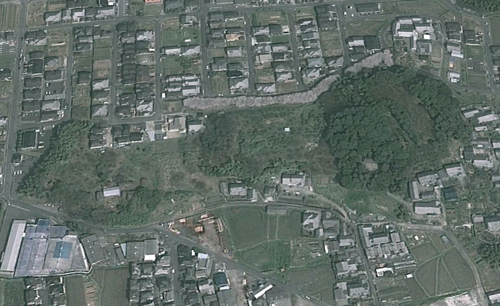 若櫻神社の参道⑬メスリ山古墳（桜井市・大字高田字メスリ） : エナガ