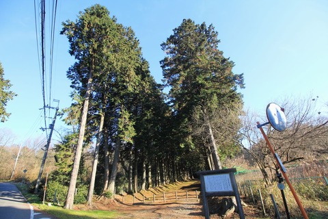 田中王塚古墳の参道