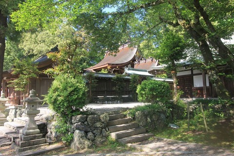 伊太祁曽神社の本殿２