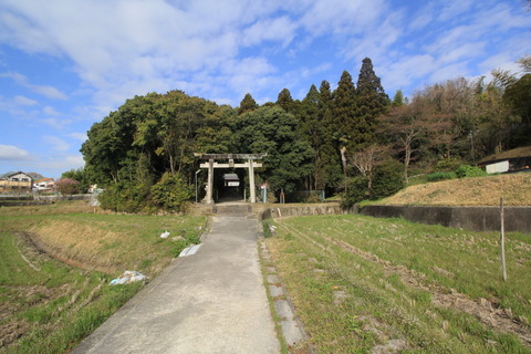 押熊八幡神社の社叢