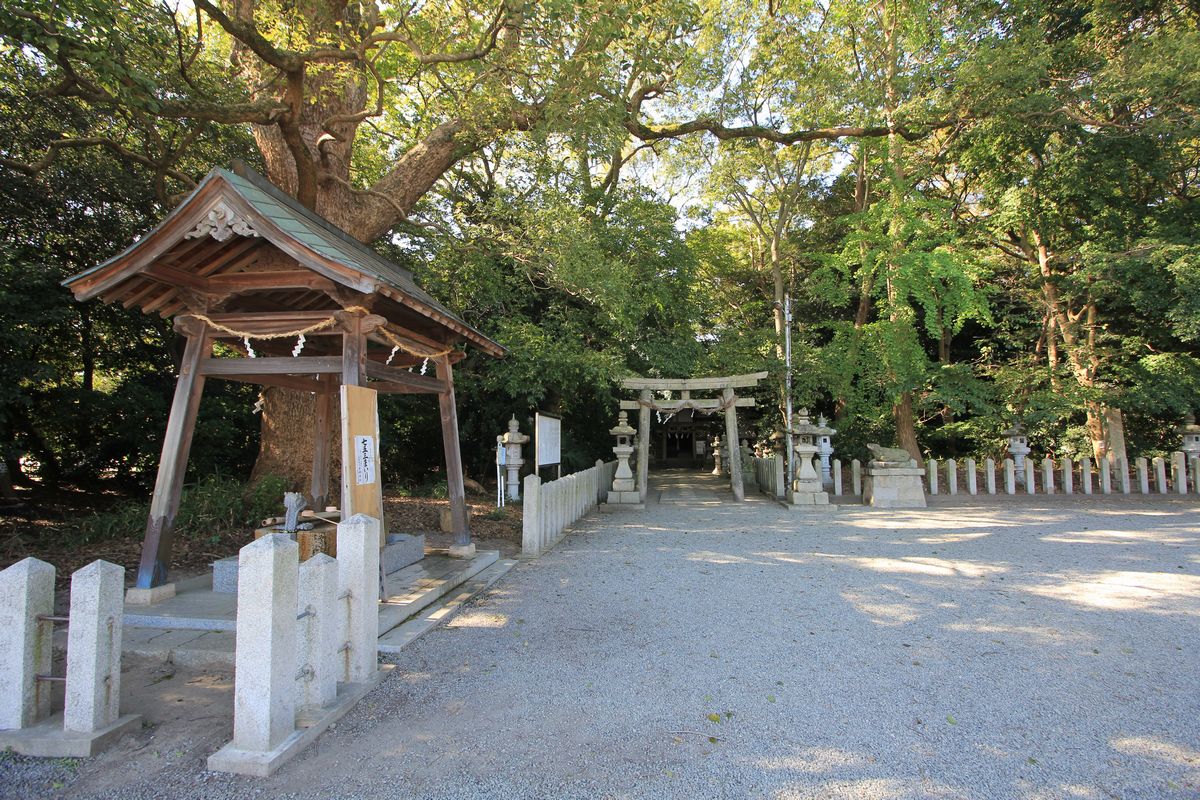 曽彌神社 大阪府 泉大津市 曽根町 エナガ先生の講義メモ 曽彌神社 大阪府 泉大津市 曽根町 エナガ先生の講義メモ