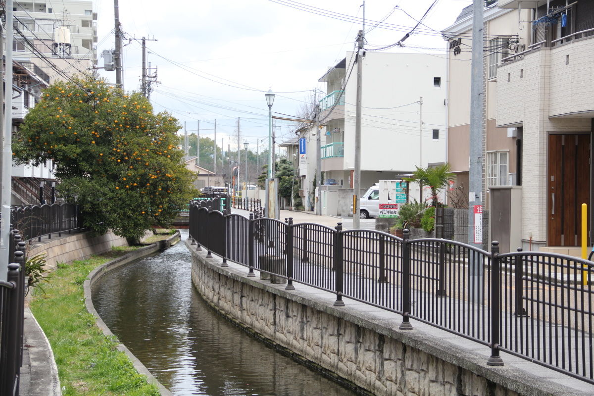 弥刀神社 大阪府 東大阪市 近江堂 エナガ先生の講義メモ
