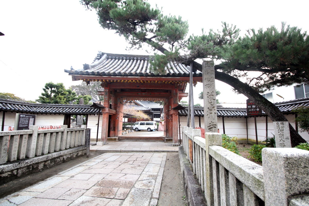 辛国神社の参道 葛井寺 藤井寺市 藤井寺 エナガ先生の講義メモ