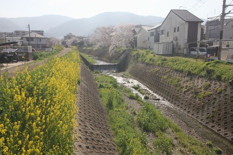 山科川＆音羽山