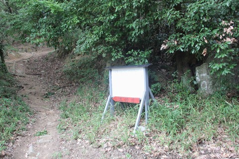 三好道