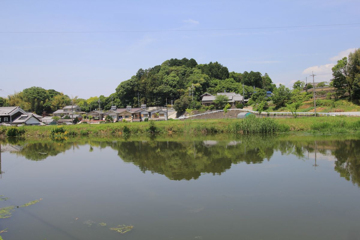 若櫻神社の参道⑬メスリ山古墳（桜井市・大字高田字メスリ） : エナガ