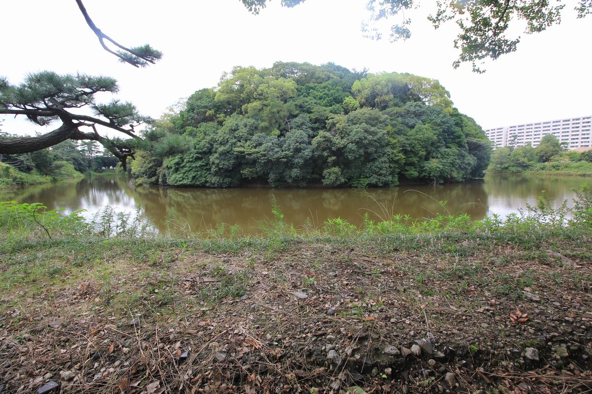 方違神社―研究と史料 (1978年) 前方後円墳 - 株式会社 吉川弘文館 歴史学を中心とする、人文