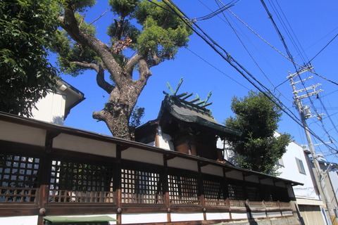 船待神社7