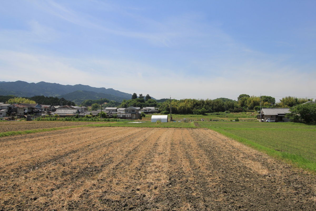 磐司