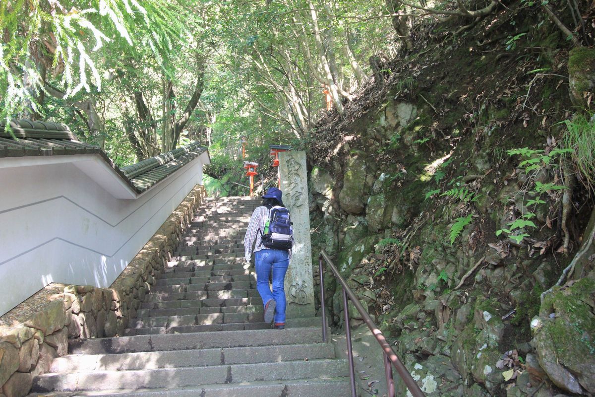 貴船神社の参道 鞍馬寺3 奥の院参道 左京区 鞍馬本町 エナガ先生の講義メモ 貴船神社の参道 鞍馬寺3 奥の院参道 左京区 鞍馬本町 エナガ先生の講義メモ