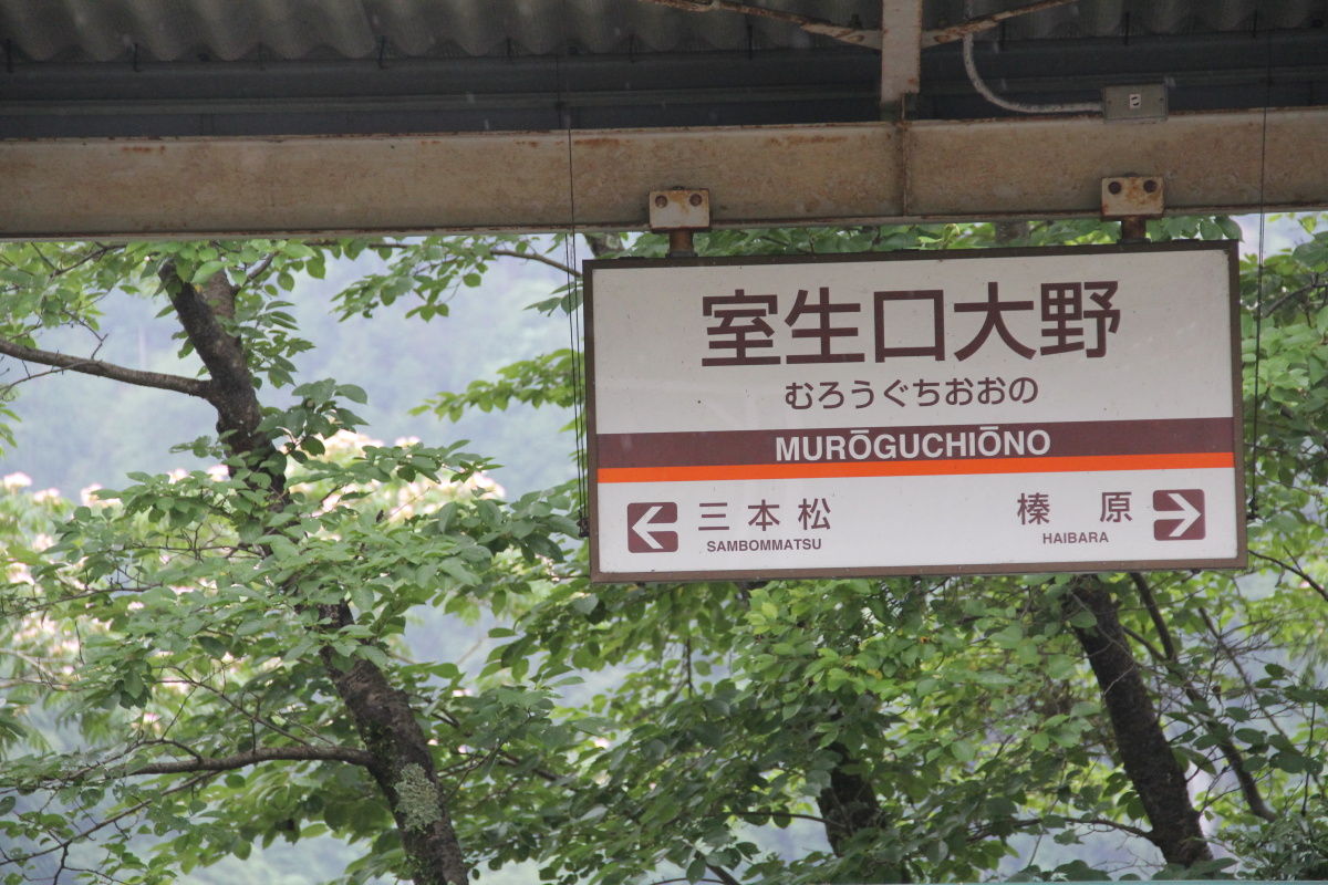 室生龍穴神社の参道 大野寺 宇陀市 室生 大野 エナガ先生の講義メモ