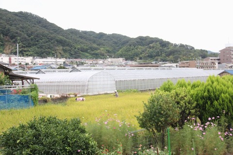 北条公園