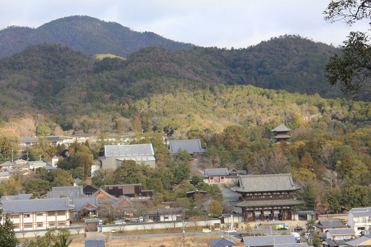 福王子神社の参道 仁和寺 京都市 右京区 御室 エナガ先生の講義メモ