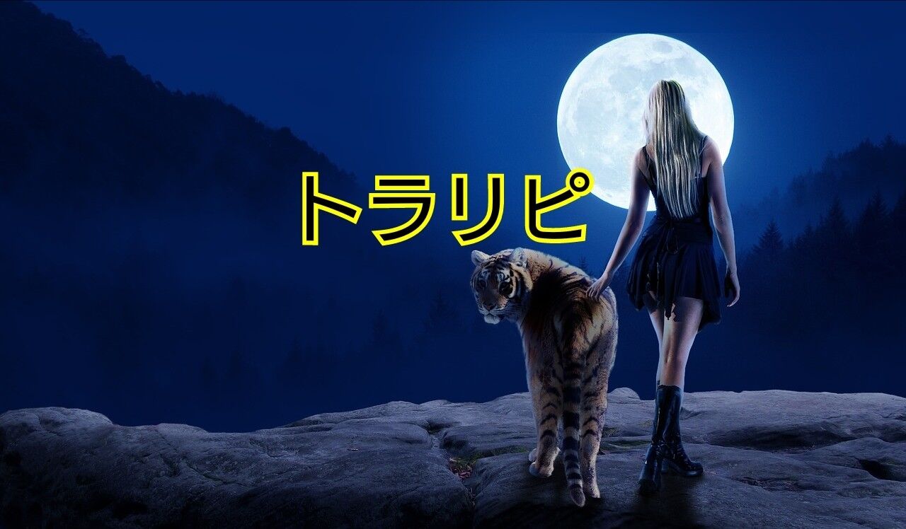 トラリピ 各通貨ペア設定あり みゃーこの不労所得生活fxブログ