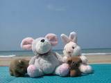 picnic