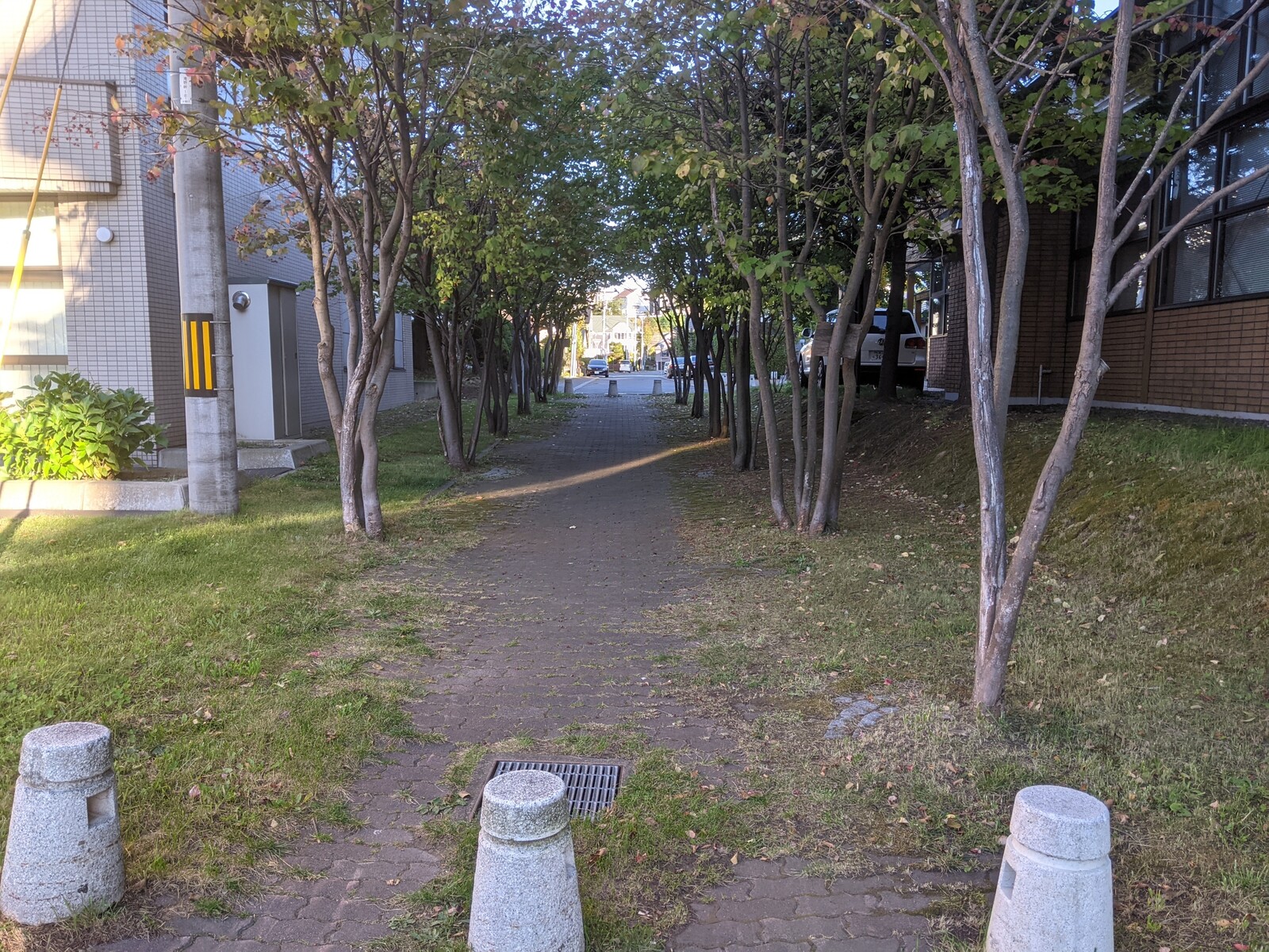 しんえい四季のまち 訪問記