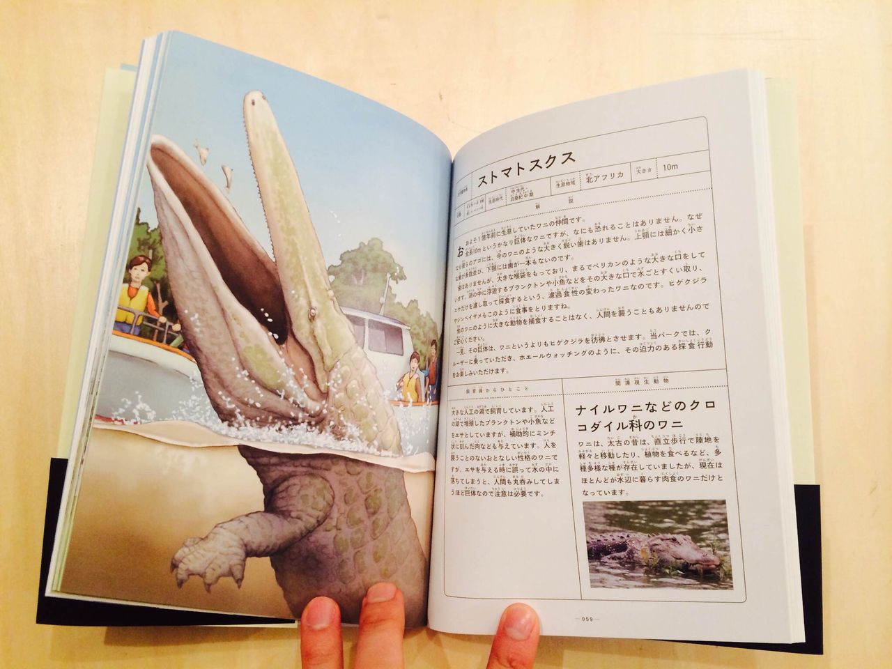 すごい古代生物 Mychairbooks Blog