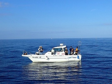 P8018442
