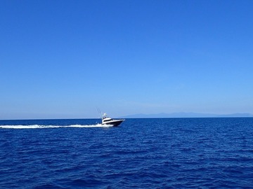 P8238970 (2)