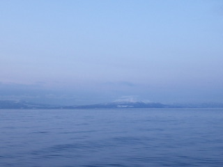 IMGP5481