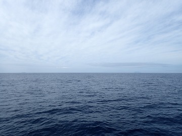 P8088576