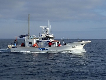 P1249307