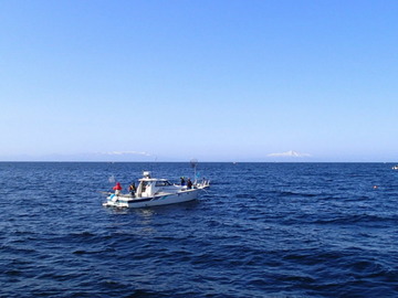 P4133252