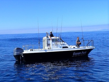 P8088638
