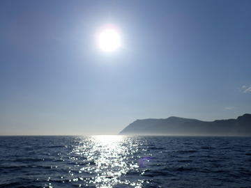 P6139375
