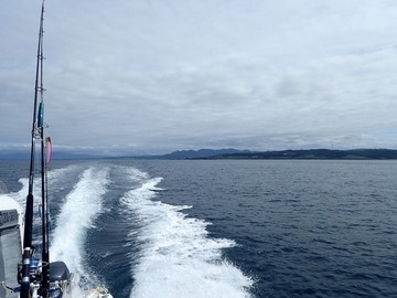 P8088567