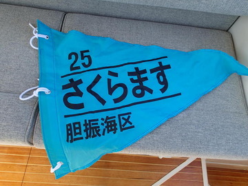 P4123219